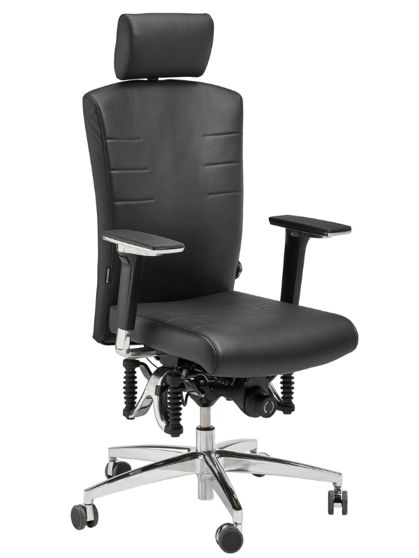 Haider Bioswing 560iQ Leder Bestseller