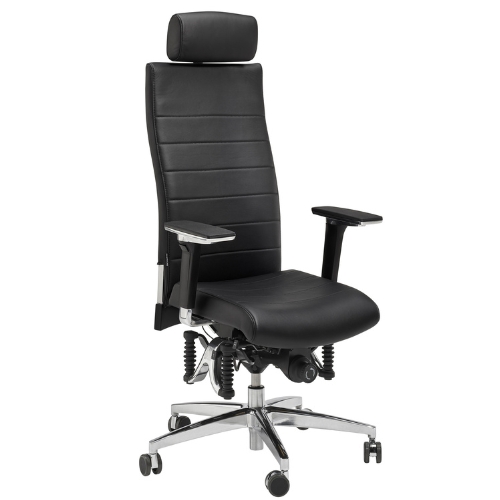 Haider Bioswing 670 iQ Leder  Bestseller