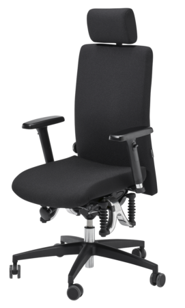 Image Haider Bioswing 360 iQ mit Nackenstütze Bestseller