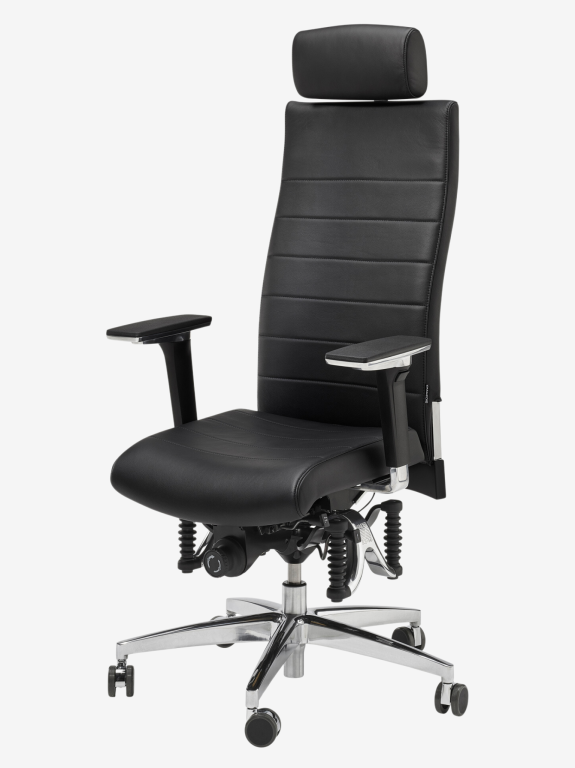 Image Haider Bioswing 670 iQ Leder Bestseller 