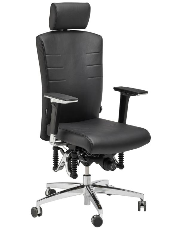Image Haider Bioswing 560 iQ Leder Bestseller