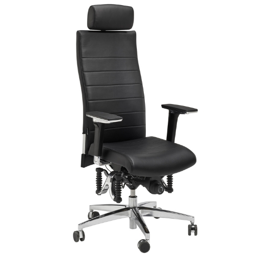 Image Haider BIOSWING 660 iQ Leder Bestseller