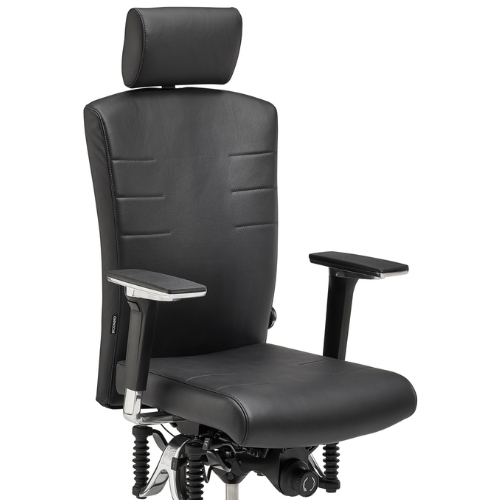 Haider Bioswing 560 iQ Leder Detail