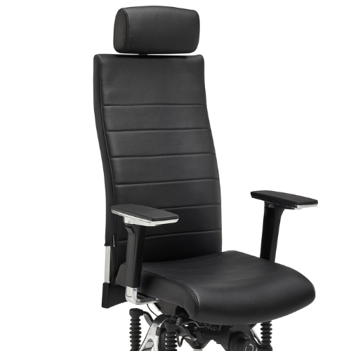 Haider Bioswing 660 iQ Leder Detail