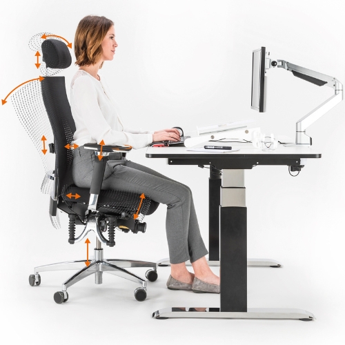 Haider Bioswing 660 iQ Model