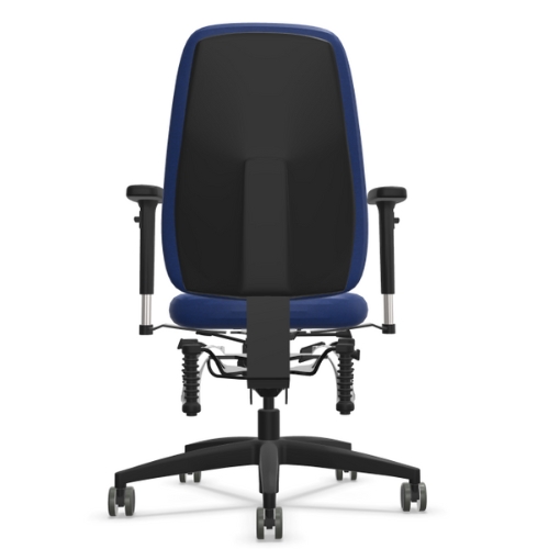 Haider Bioswing 260 iQ blau Rücken