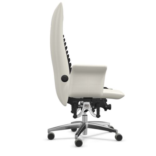 Haider Bioswing 780 iQ side detensor