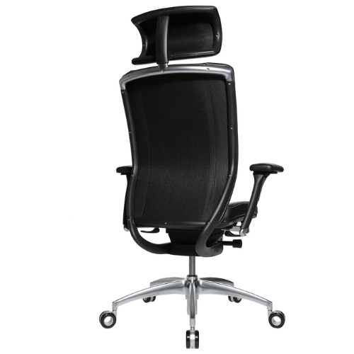 Titan Limited Rückseite