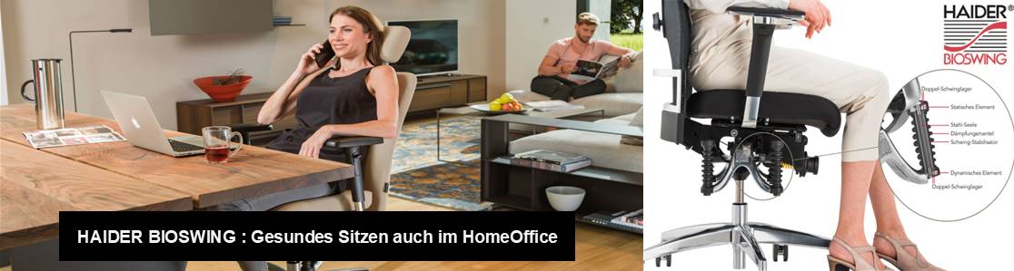Haider Bioswing Home Office
