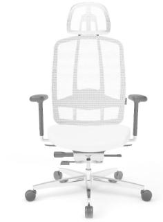 Image 1675958061819alumedic10weiss.jpg Image