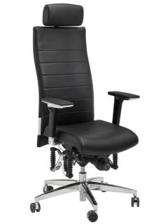 Image HaiderBioswing670iQLederFront800.jpg Image