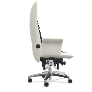 Image HaiderBioswing780iQDetensorIndividualSide500.jpg Image