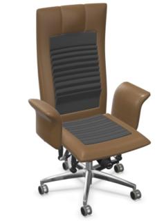 Image HaiderBioswing780iQDetensorIndividualbraunFront800.jpg Image